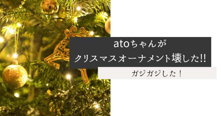 atoちゃんがクリスマスオーナメント壊した!!