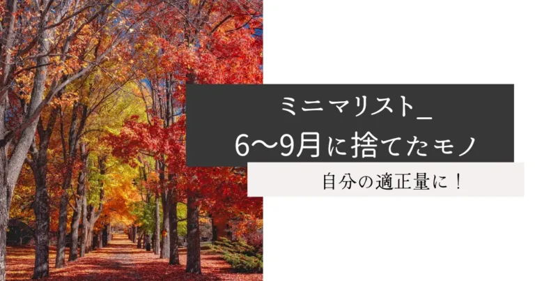 ミニマリスト_6～9月に捨てたモノ