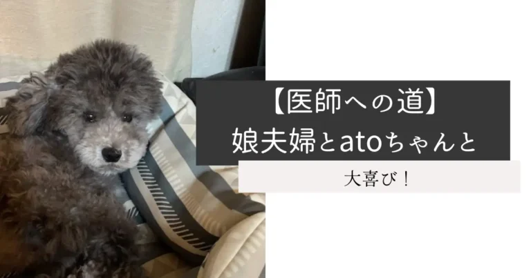 【医師への道】娘夫婦とatoちゃんと