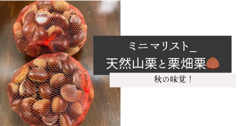 ミニマリスト_天然山栗と栗畑栗🌰