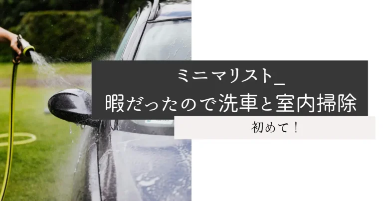 ミニマリスト_暇だったので洗車と室内掃除