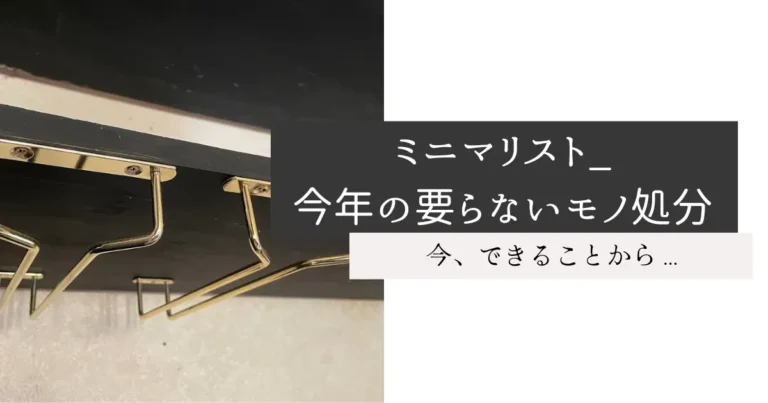 ミニマリスト_今年の要らないモノ処分