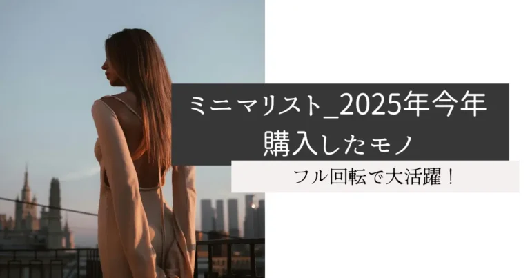 ミニマリスト_2025年今年購入したモノ