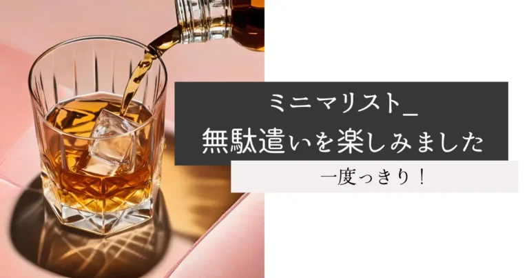 ミニマリスト_無駄遣いを楽しみました