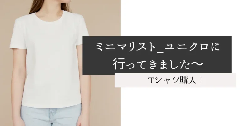 ミニマリスト_ユニクロに行ってきました～