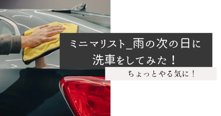 ミニマリスト_雨の次の日に洗車をしてみた！