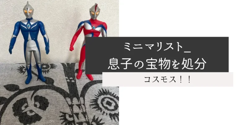 ミニマリスト_息子の宝物を処分