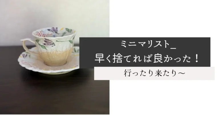 ミニマリスト_早く捨てれば良かった！