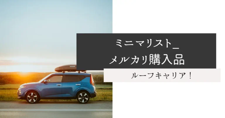 ミニマリスト_メルカリ購入品