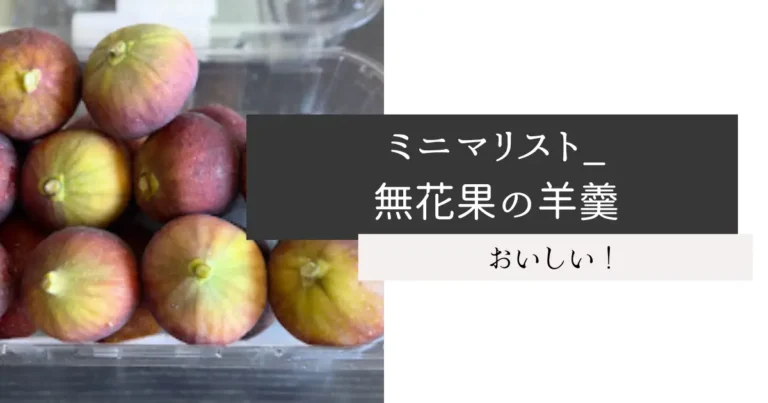 ミニマリスト_無花果の羊羹